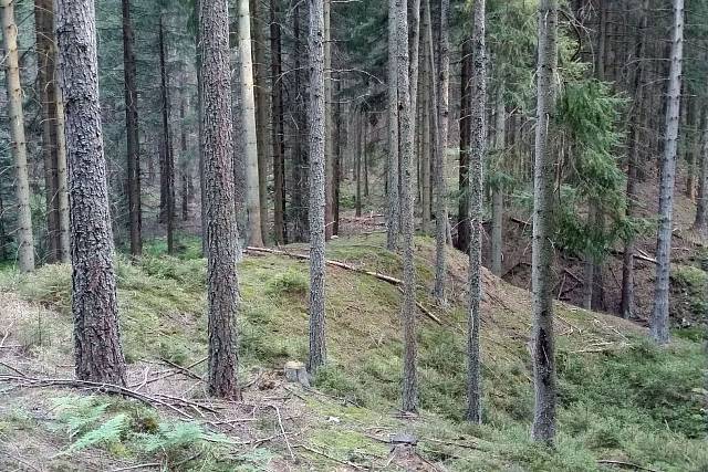 Hráz na potoce Reserva