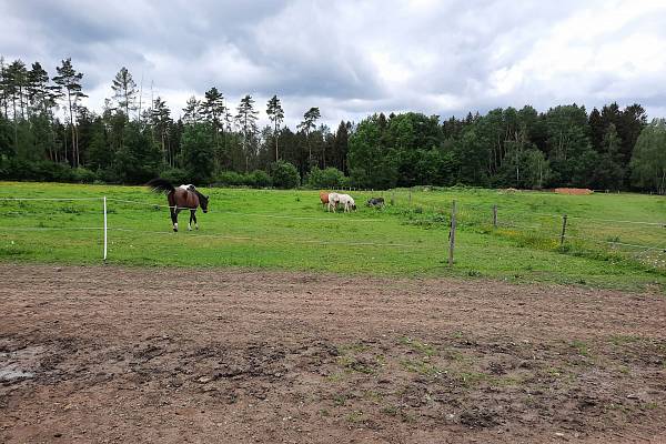 Ekofarma Pod Radyní