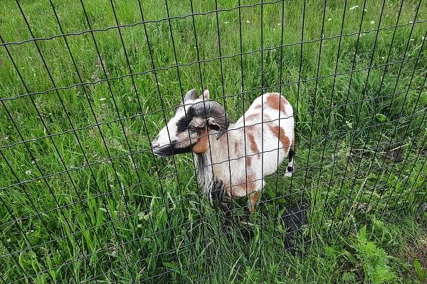 Ekofarma Pod Radyní