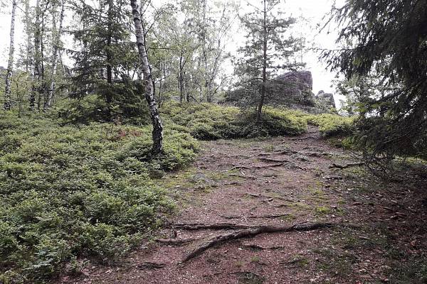Na kole: Úsek Velký Kámen - Vlč - Bahna (Brdy)