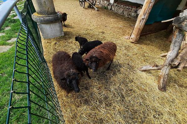 Zámecký statek Újezd nade Mží