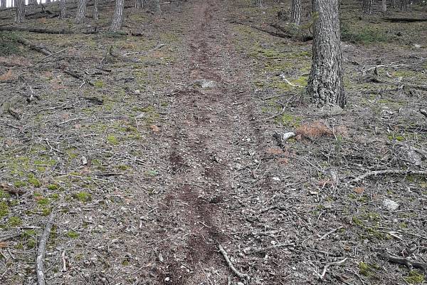 Na kole: Úsek Velký Kámen - Vlč - Bahna (Brdy)