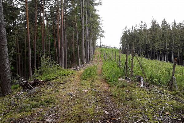 Na kole: Úsek Velký Kámen - Vlč - Bahna (Brdy)