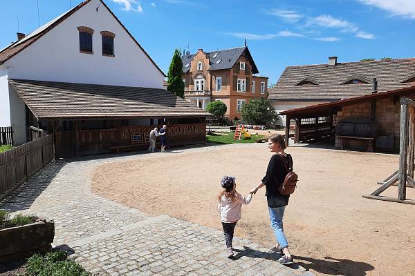 Černá ovce v Plzni