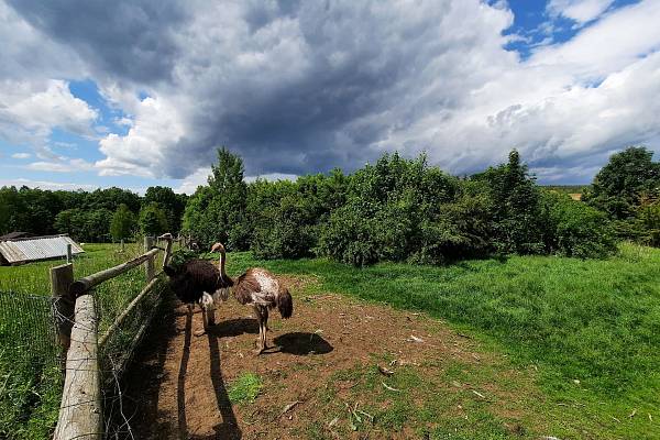 Zámecký statek Újezd nade Mží