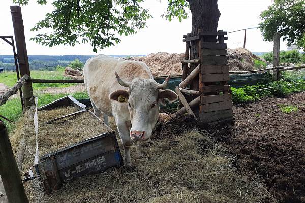 Zámecký statek Újezd nade Mží
