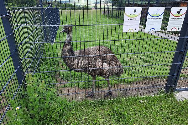 Ekofarma Pod Radyní