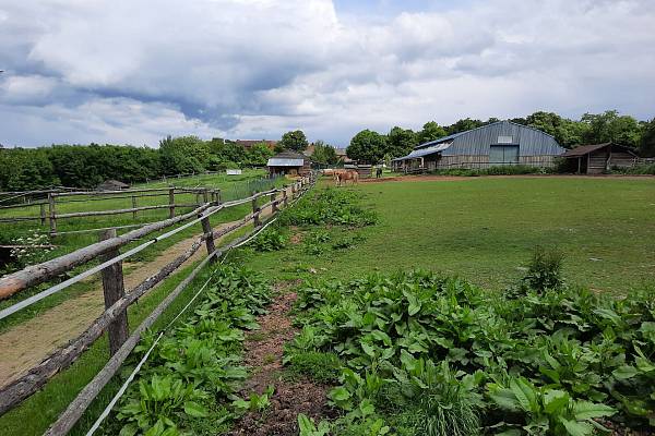 Zámecký statek Újezd nade Mží