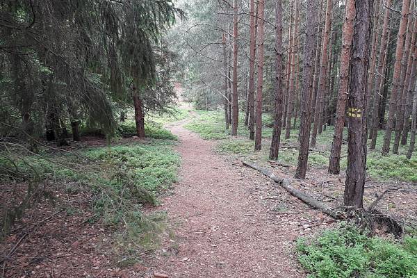 Na kole: Úsek Velký Kámen - Vlč - Bahna (Brdy)