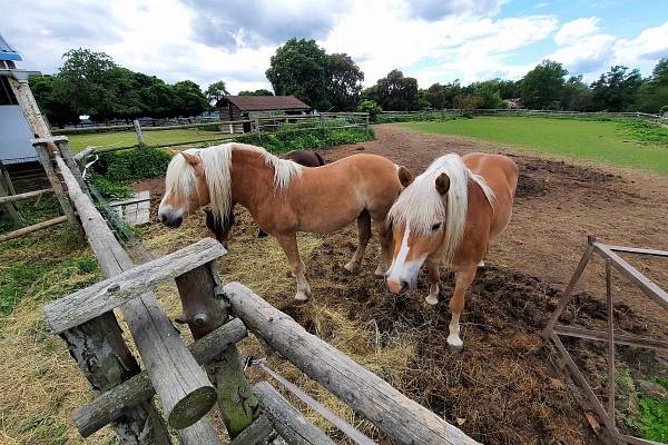 Zámecký statek Újezd nade Mží