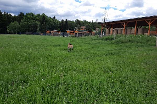 Ekofarma Pod Radyní