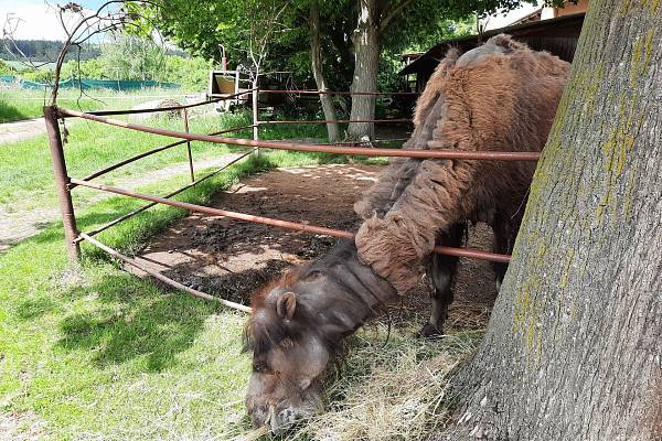 Zámecký statek Újezd nade Mží