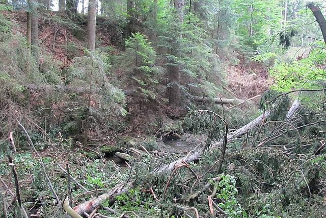 21428_417199895057940_2121610571_n.jpg_backup