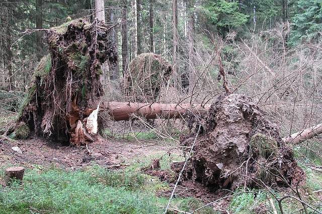 994912_417199605057969_408938736_n.jpg_backup