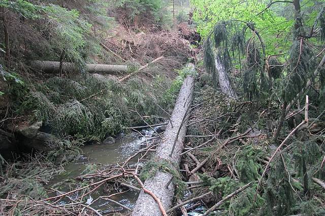 560814_417199995057930_1514047509_n.jpg_backup