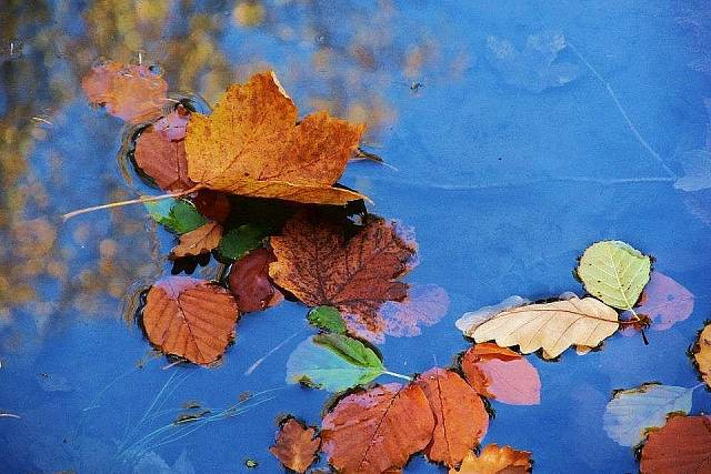 podzim-2012-zima-2013